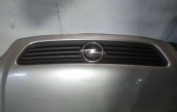 Opel Astra G Front grill