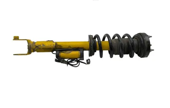 Dodge Challenger Front shock absorber with coil spring 68391322AC 68391331AB 04895412AC