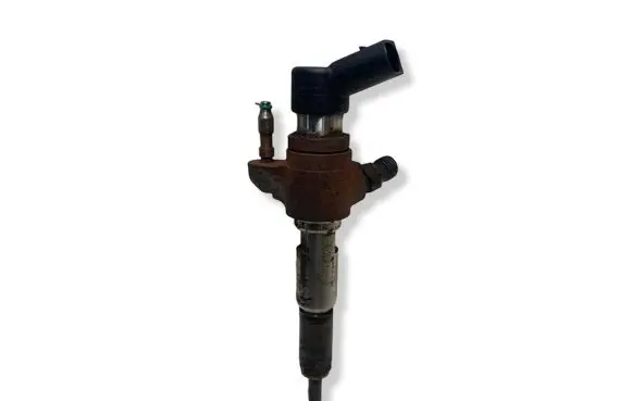 Citroen C4 II Picasso Fuel injector 9802448680