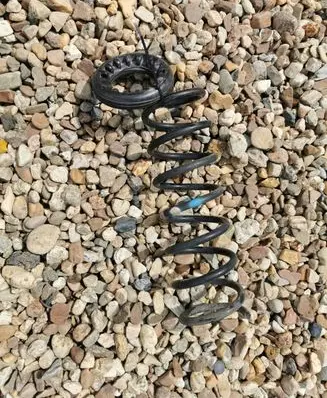 Ford Focus Rear coil spring
