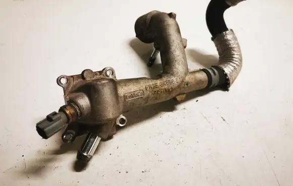 Ford Mustang VI Engine coolant pipe/hose FR3E8K556BA