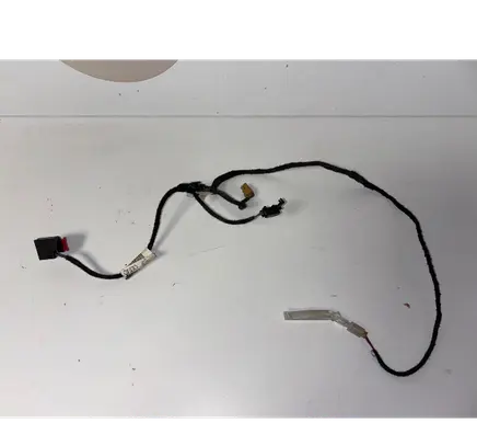 Audi A6 S6 C6 4F Rear door wiring loom 4F1971693