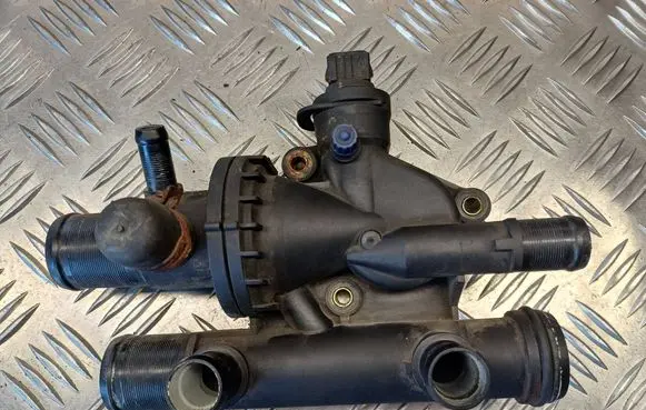 Thermostat/thermostat housing