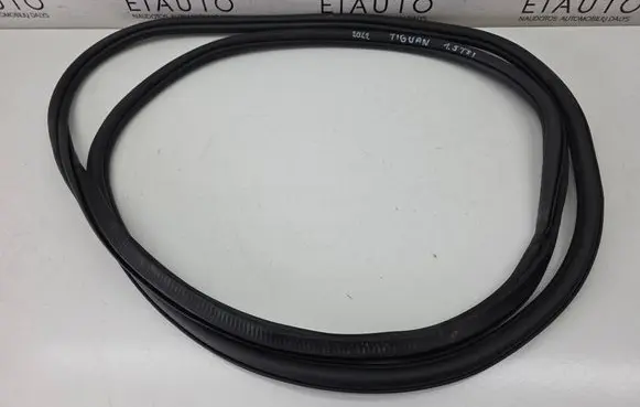 Volkswagen Tiguan Allspace Front door rubber seal 