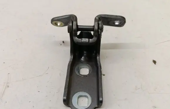 Rear door lower hinge