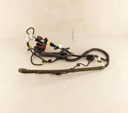 Ford Kuga II Front door wiring loom FV4T14A584