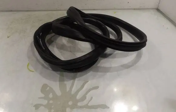 Renault Scenic III - Grand scenic III Front door rubber seal
