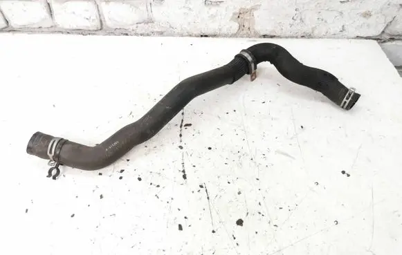 Renault Laguna III Engine coolant pipe/hose 215010012N