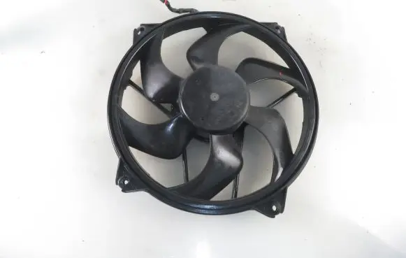 Citroen C4 I Fan set 