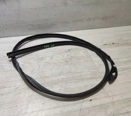 Renault Kangoo III Front door rubber seal 