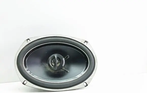 Fiat Ducato Rear door speaker
