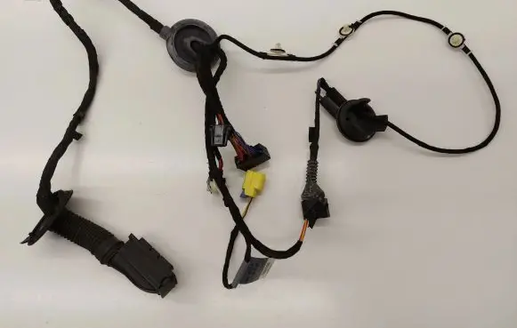 Front door wiring loom