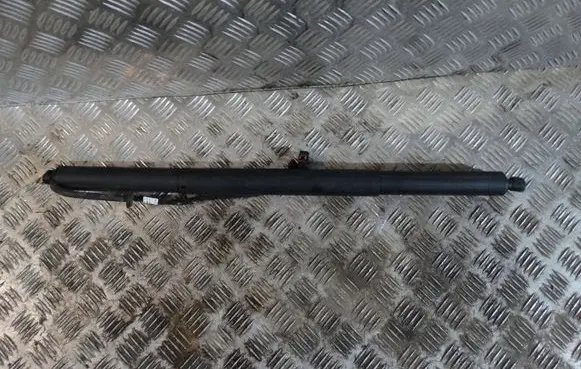 Porsche Cayenne (9Y0 9Y3) Tailgate strut 