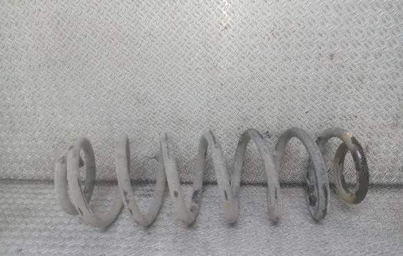 Rear coil spring