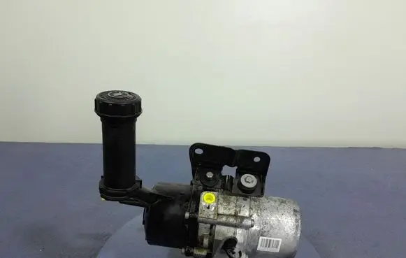 Citroen C4 II Power steering pump 9813547780