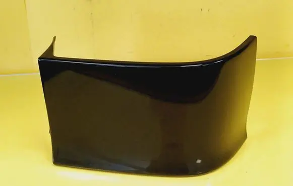 Rear/tail light trim molding