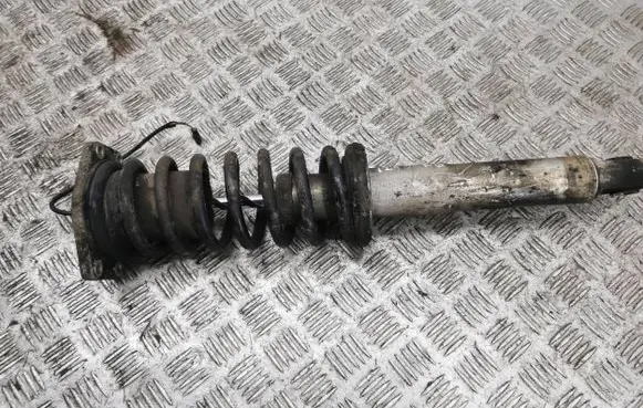 Maserati Quattroporte Rear shock absorber with coil spring 462400001480