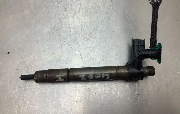 Peugeot 4007 Fuel injector 9659228880