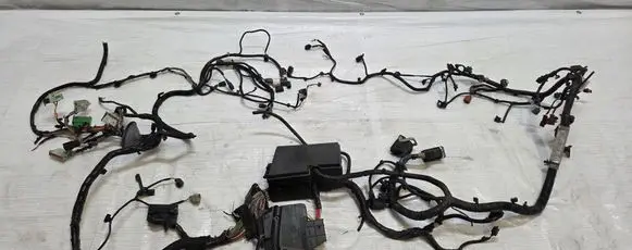 Ford C-MAX II Engine installation wiring loom F1FT-12A690-CJE
