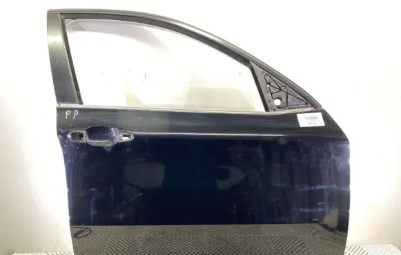 BMW X6 E71 Front door