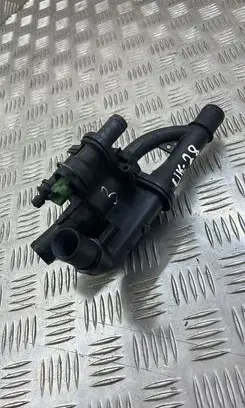Thermostat/thermostat housing