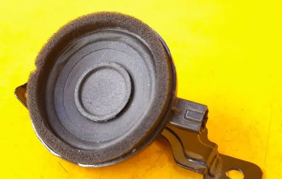 Panel speaker