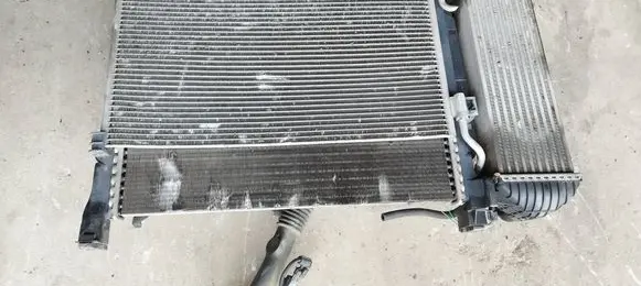 Renault Kangoo II Radiator support slam panel 8200427466 820045580