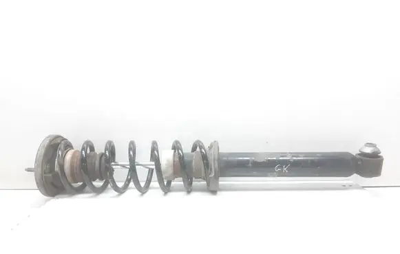 BMW 5 F10 F11 Rear shock absorber with coil spring 