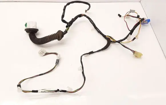 Front door wiring loom