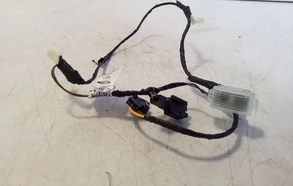 Other wiring loom