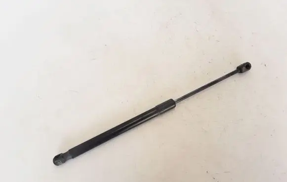 Renault Megane III Tailgate strut 904510001R