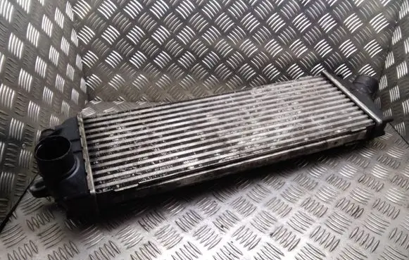 Renault Trafic II (X83) Intercooler radiator 8200411160 8200411160C 93854162