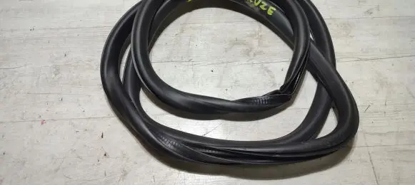 Chevrolet Cruze Rear door rubber seal (on body) 17370923