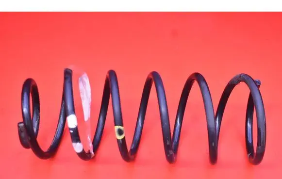 Rear coil spring