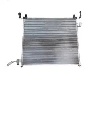 Land Rover Range Rover Sport L494 Optional radiator FPLA8K230AA