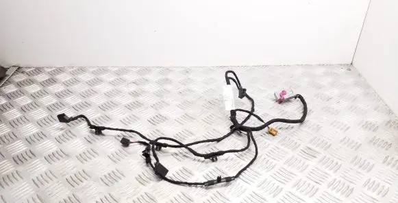 Front door wiring loom