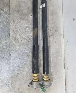 Ford Ecosport Rear shock absorber/damper FN1C-18080-CA
