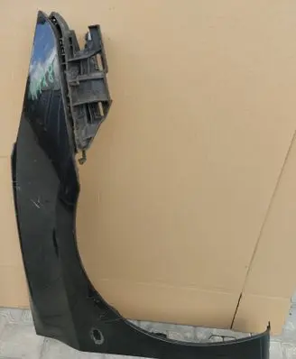 Peugeot 307 Fender BLOTNIKPRAWY307FL