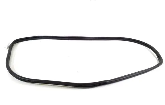 Hyundai Ioniq 5 Front door rubber seal 82110GI000