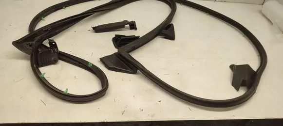 Toyota RAV 4 (XA50) Rubber seal front door (on door) 310BZ10L2