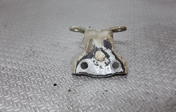 Chevrolet Captiva Rear door lower hinge