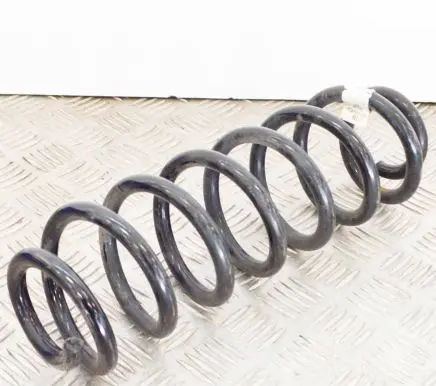 Volkswagen Tiguan Rear coil spring 5QF511115BL