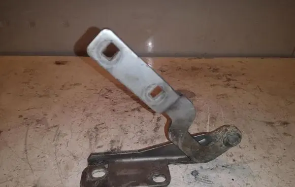 Tailgate/trunk/boot hinge