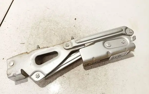 Tailgate/trunk/boot hinge