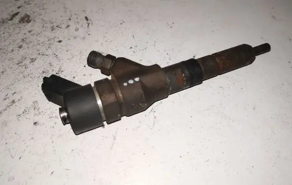Citroen C5 Fuel injector 0445110008 9635196580