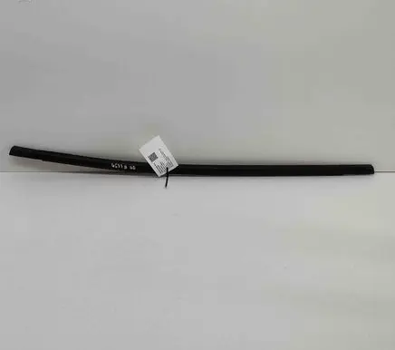 Honda Civic X Rear door glass trim molding 72910TGGA01