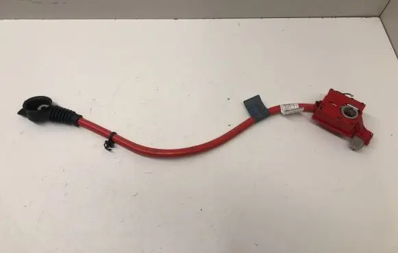 BMW 5 F10 F11 Positive cable (battery) 9217034 9217036 EEZ17Z