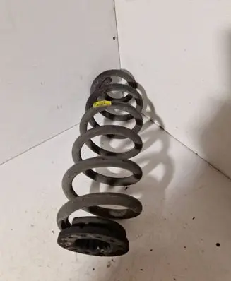 Rear coil spring