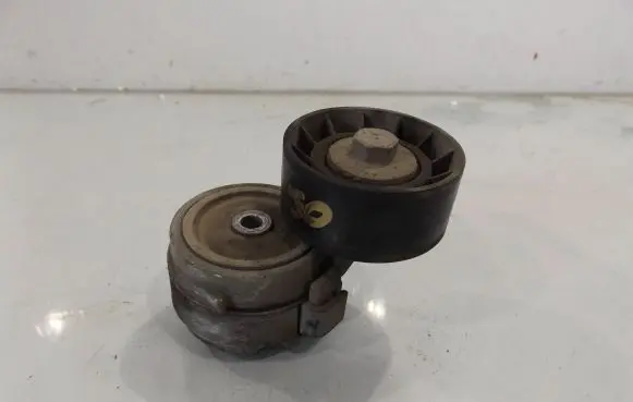 Fiat Stilo Timing belt/chain tensioner 