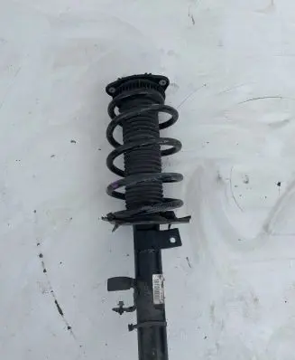 Ford C-MAX II Front shock absorber with coil spring DV6118K001AC